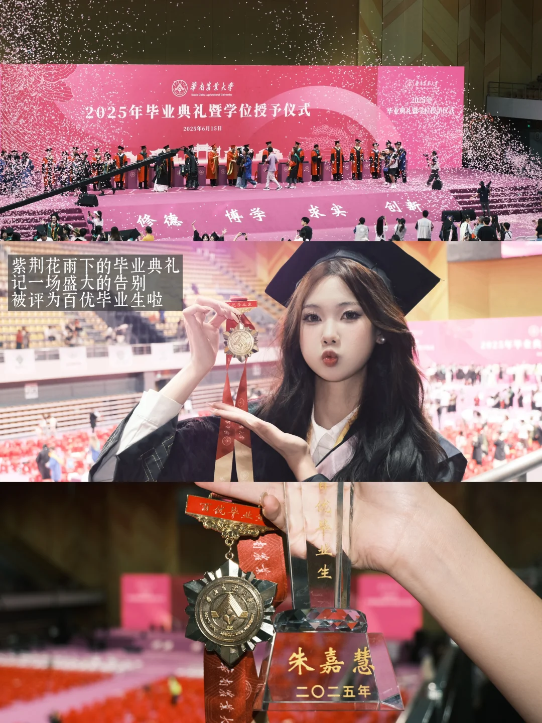 2025 Annual Summary: My Highlights: Sparks:
