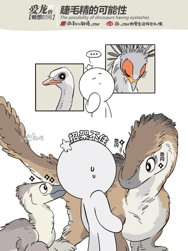Do feathered dinosaurs have eyelashes?