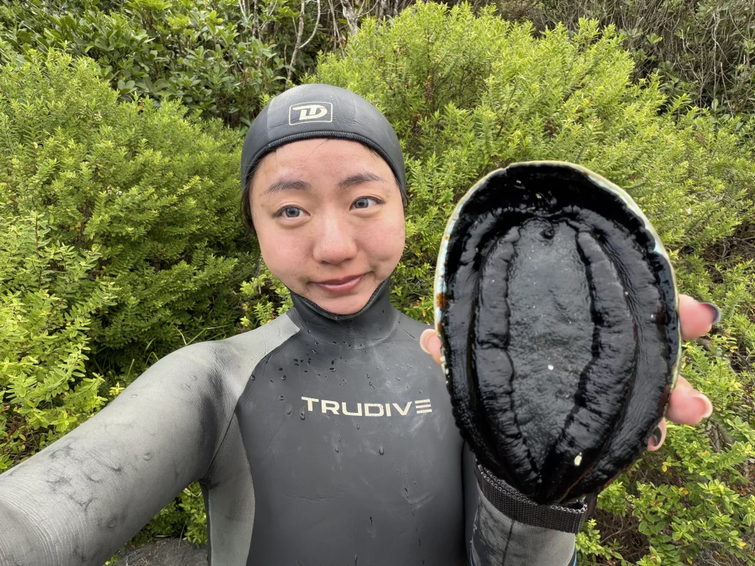 Capturing the Black Gold Bauhinia in New Zealand is the highlight of this year