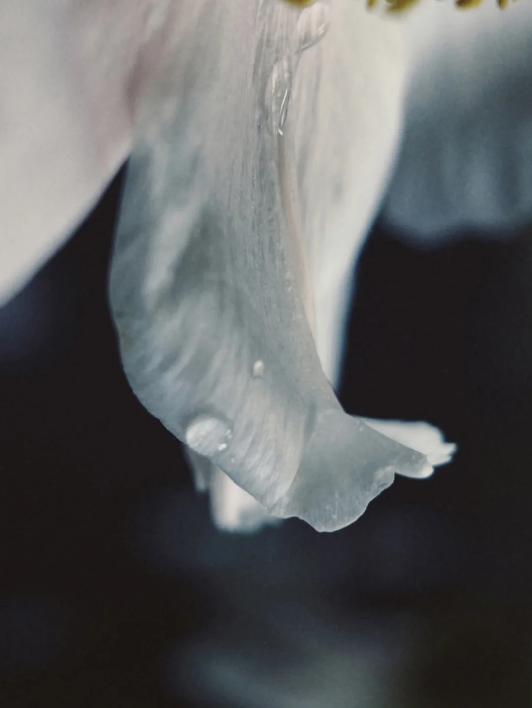 雨的续集:cloud_with_rain: