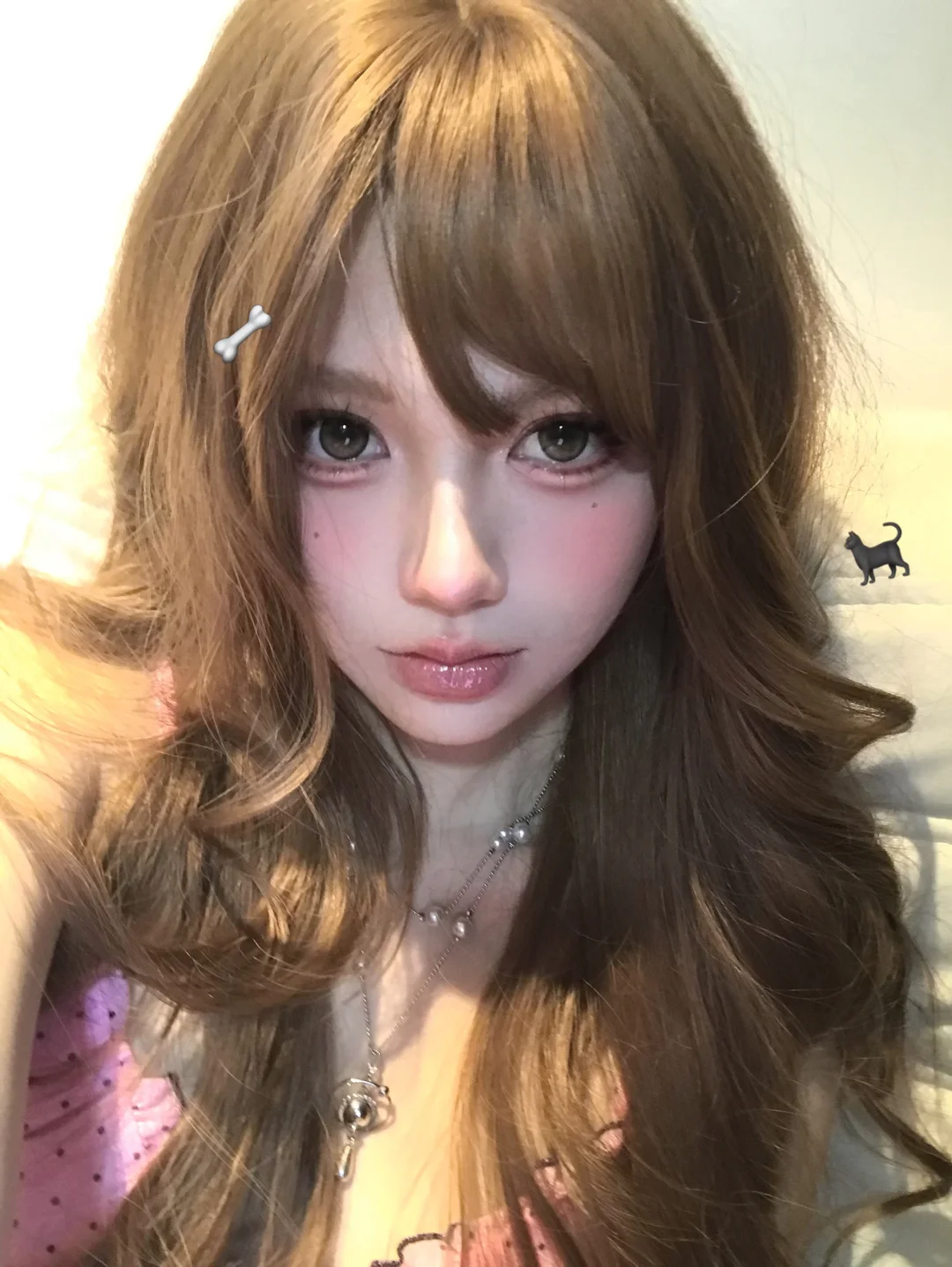 Doll ૮⁔.  ̫ .⁔ა～
