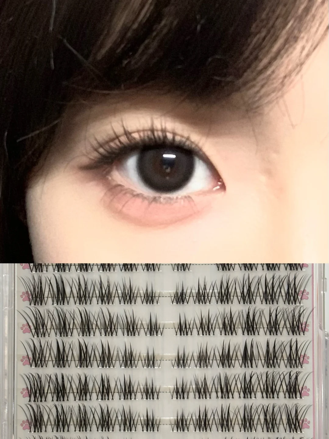 My Annual Favorite - False Eyelash Edition