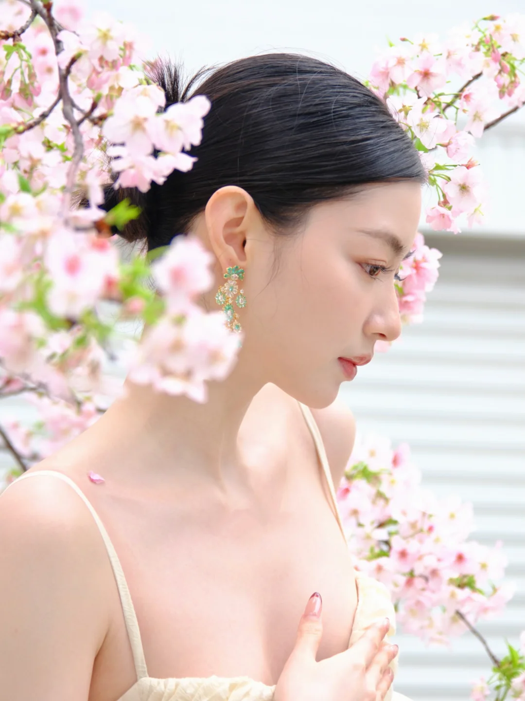 Plog｜樱花开咯:cherry_blossom: