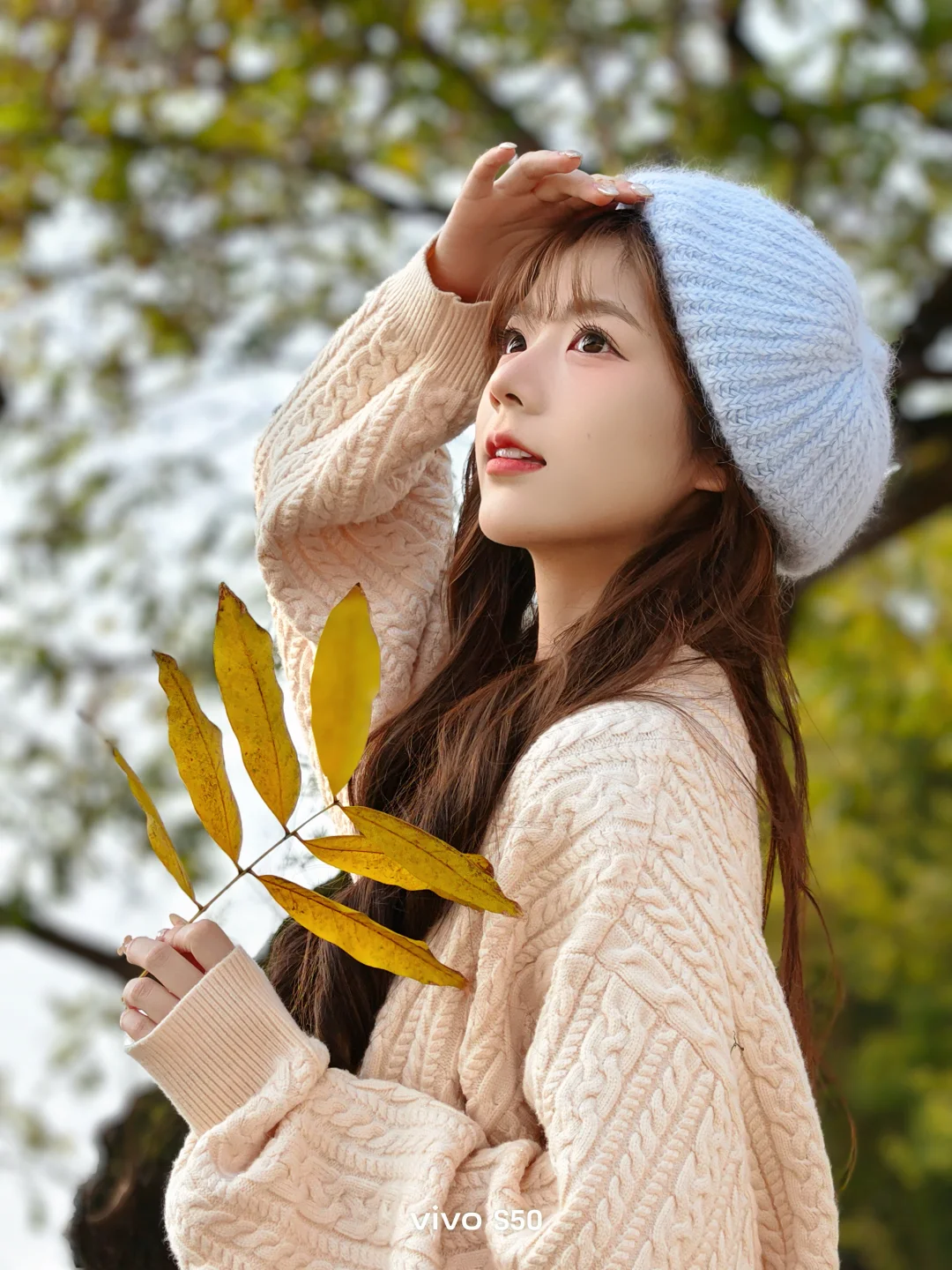 Open my autumn and winter happiness diary with live streaming