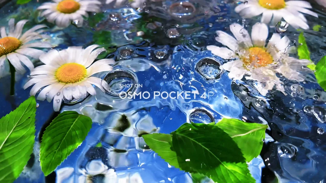 pocket4p真的有这么清透吗？！