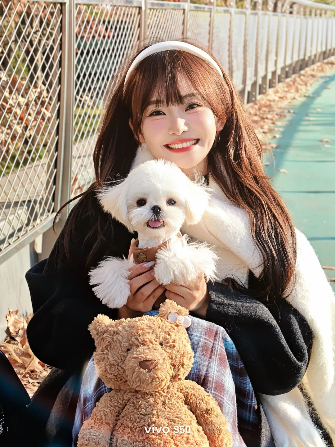 Dog Walking Diary: teddy_dear: 📔 ᶻᶻᶻ 🐾