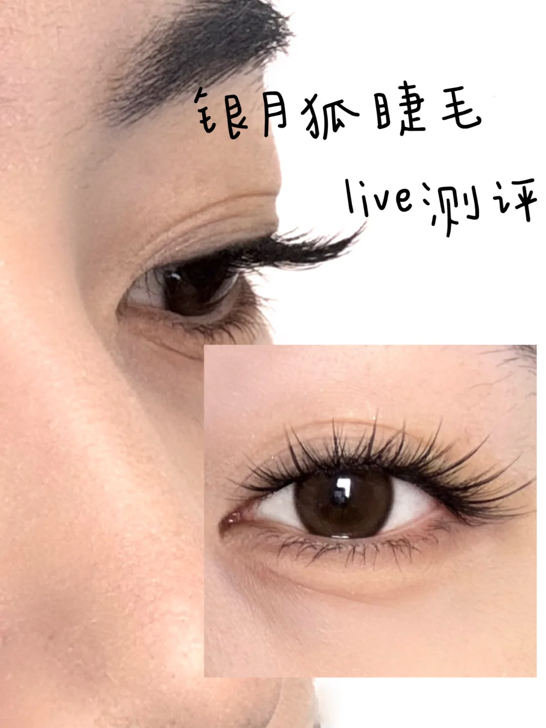 Evaluate 100 fake eyelashes (9/100) 🪶🪶
