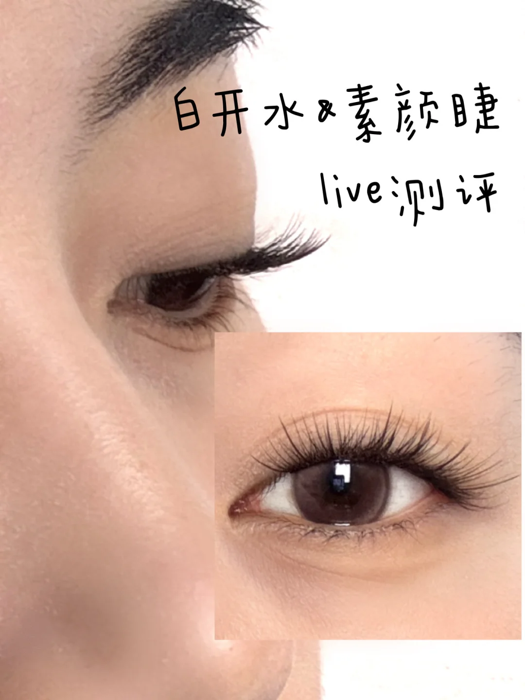Evaluate 100 fake eyelashes (14/100) 🪶🪶