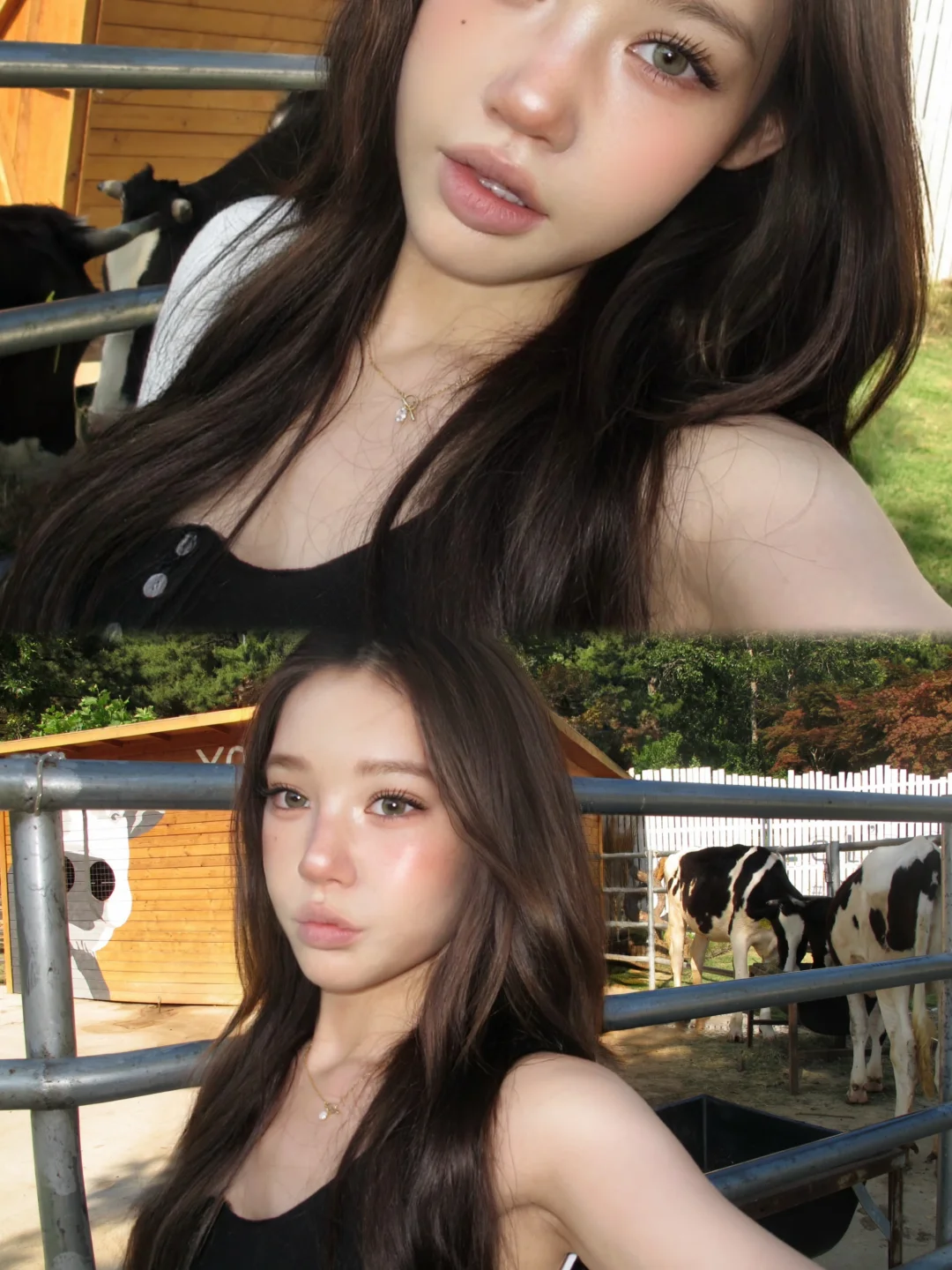 🧙‍♀️yap farm yap