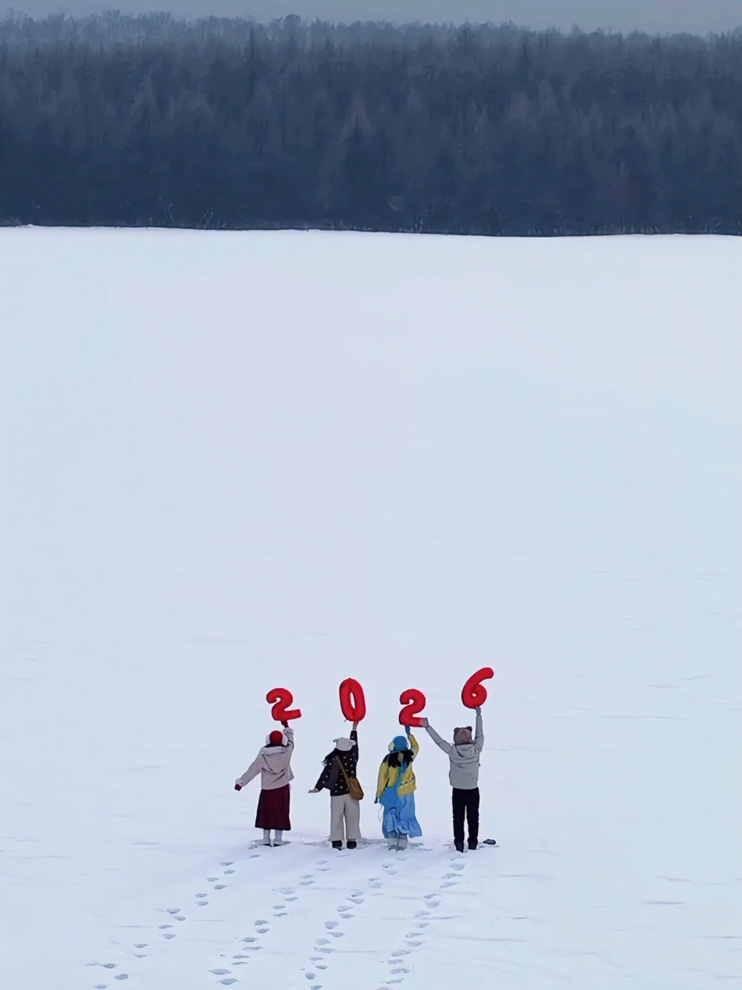 Snowlake: The 18 Live Images I Reluctantly Delete in 2025!!!