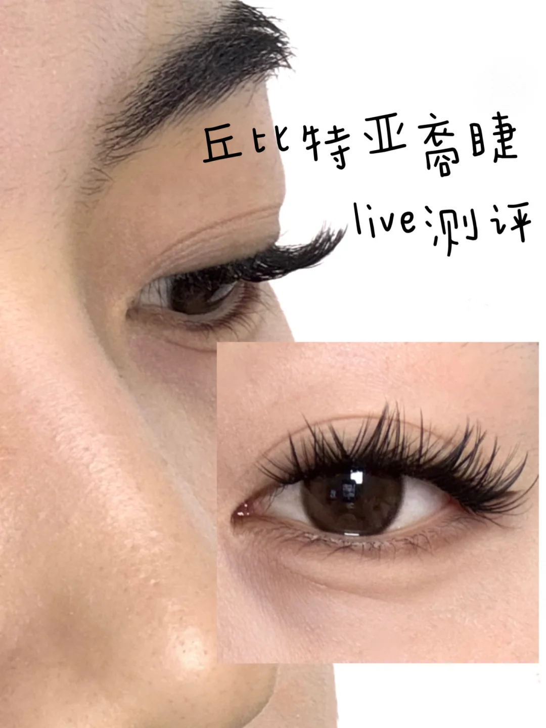 Evaluate 100 fake eyelashes (15/100) 🪶🪶