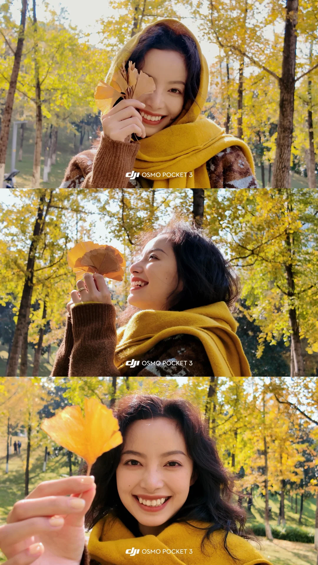 The romantic autumn live in Pocket 3 in DJI is too much like a movie
