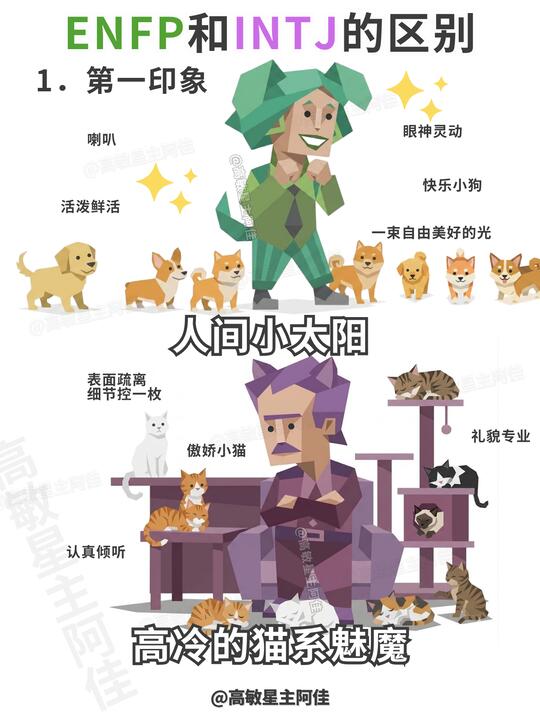 如何一眼识别ENFP/INTJ？