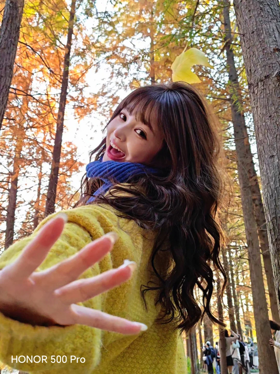 Capture the oil painting like deep autumn with 4Klive images: fallen_ leaves:: maple_ leaf: * ∝ ✉