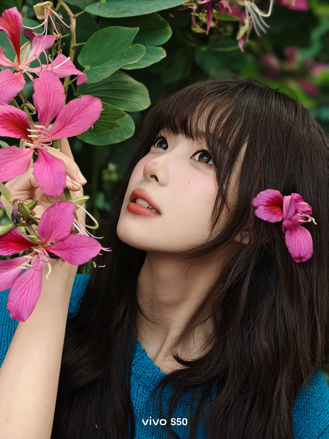 Inverted Spring: leaves: cherry-blossom:
